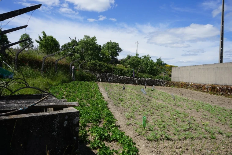 Moradia T2 para Venda em Agregação das Freguesias Sul de Pinhel Foto 2