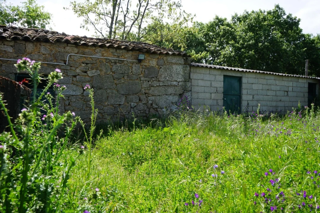 Moradia T2 para Venda em Agregação das Freguesias Sul de Pinhel Foto 3