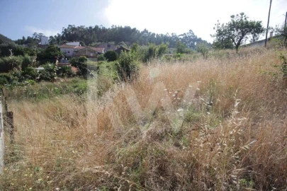 Terreno para Venda em Sé Nova, Santa Cruz, Almedina e São Bartolomeu