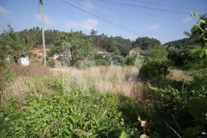 Terreno para Venda em Sé Nova, Santa Cruz, Almedina e São Bartolomeu