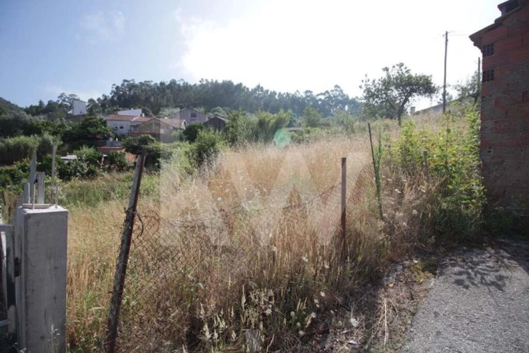 Terreno para Venda em Sé Nova, Santa Cruz, Almedina e São Bartolomeu Foto 3