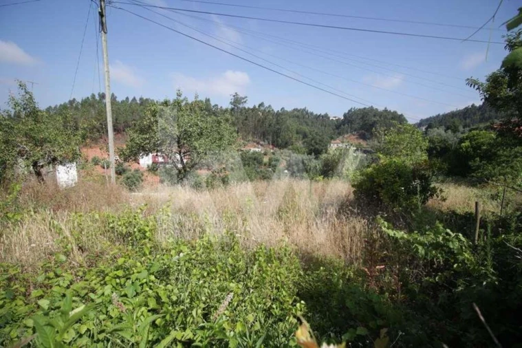 Terreno para Venda em Sé Nova, Santa Cruz, Almedina e São Bartolomeu Foto 5