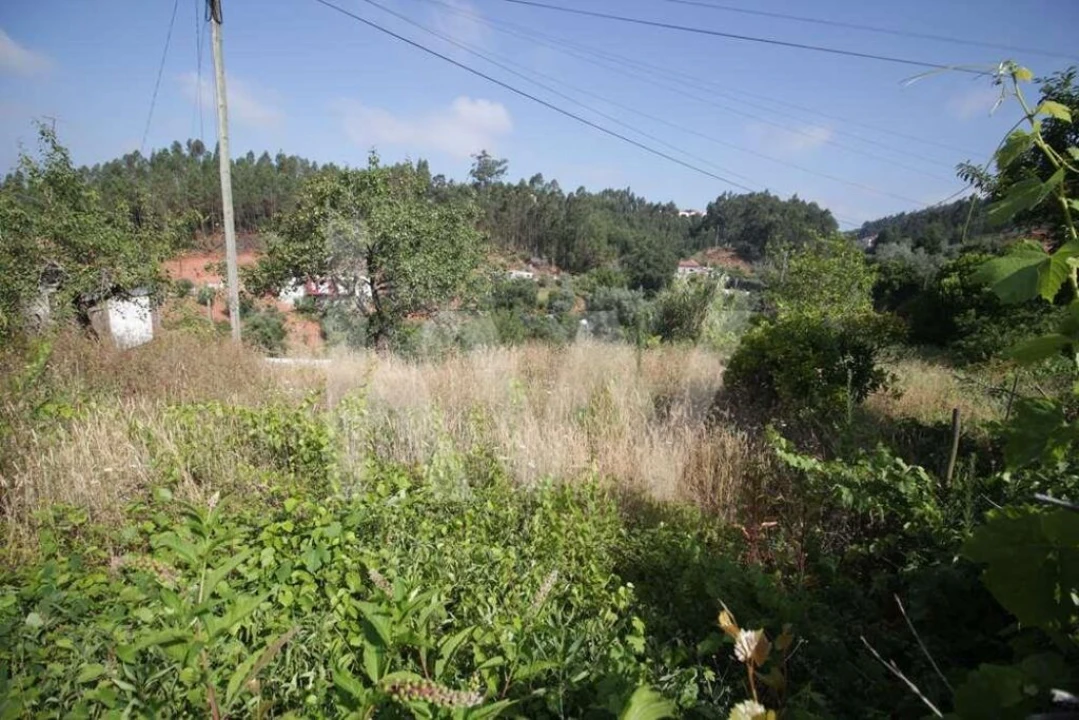 Terreno para Venda em Sé Nova, Santa Cruz, Almedina e São Bartolomeu Foto 6