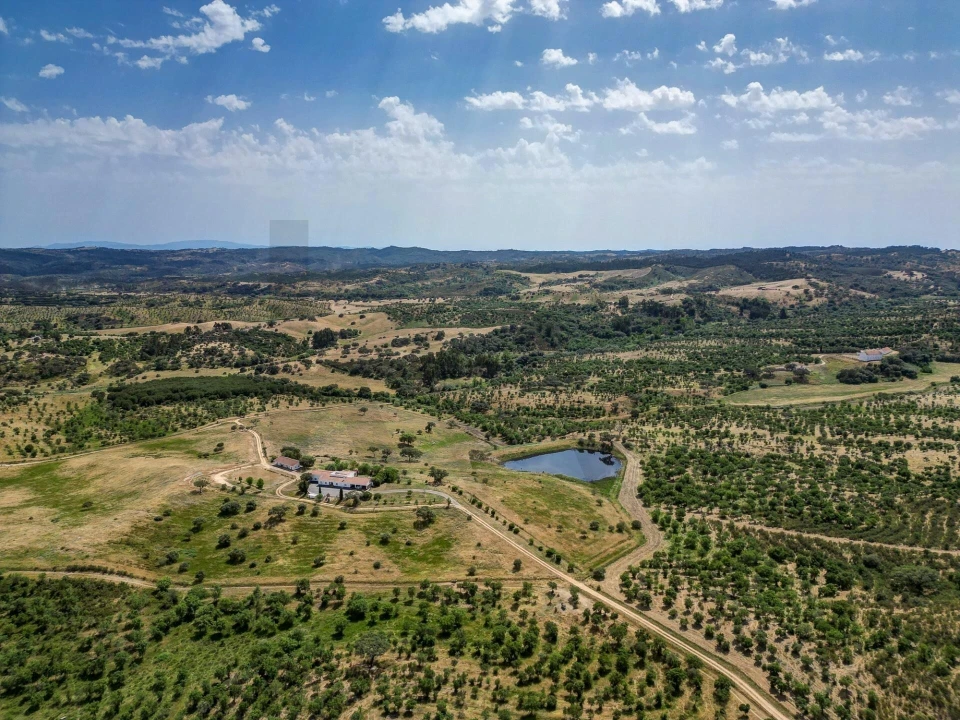 Quinta T5 para Venda em Garvão e Santa Luzia Foto 80