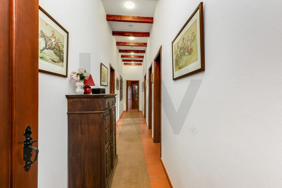 Quinta T5 para Venda em Garvão e Santa Luzia Foto 38