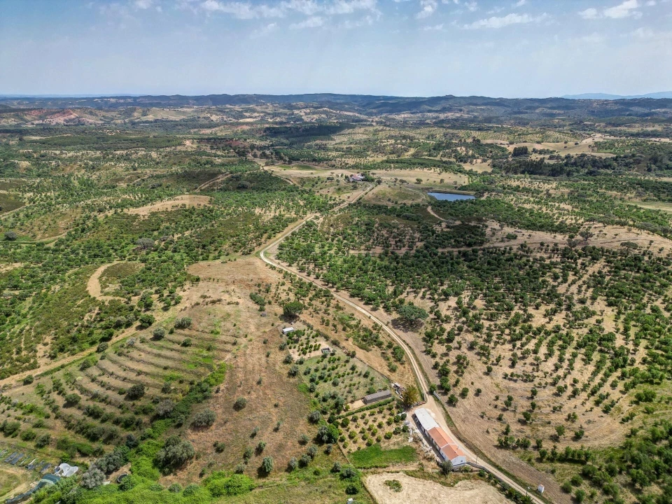Quinta T5 para Venda em Garvão e Santa Luzia Foto 72