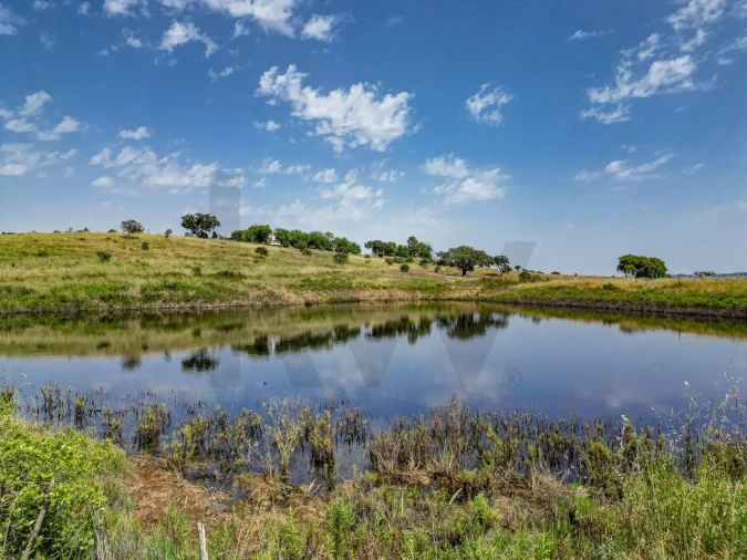 Quinta T5 para Venda em Garvão e Santa Luzia Foto 7