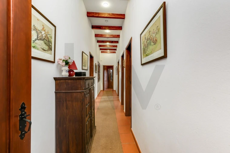 Quinta T5 para Venda em Garvão e Santa Luzia Foto 38