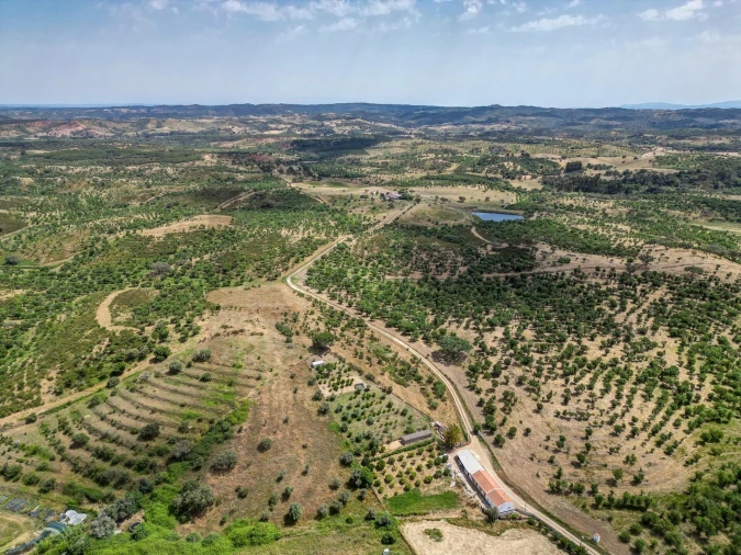 Quinta T5 para Venda em Garvão e Santa Luzia Foto 72