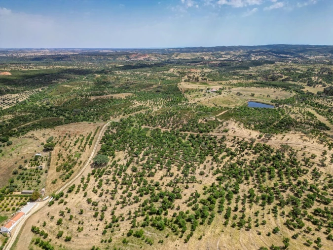Quinta T5 para Venda em Garvão e Santa Luzia Foto 2