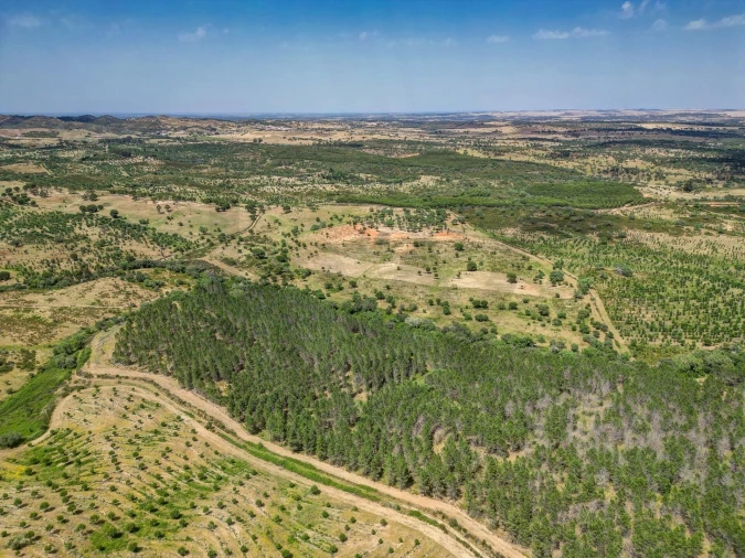 Quinta T5 para Venda em Garvão e Santa Luzia Foto 5