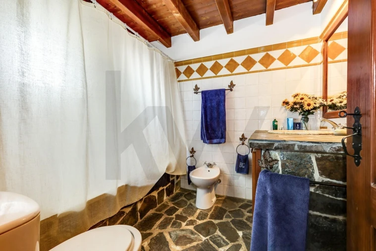 Quinta T5 para Venda em Garvão e Santa Luzia Foto 59