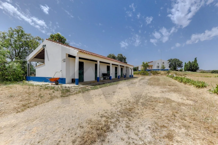 Quinta T5 para Venda em Garvão e Santa Luzia Foto 63