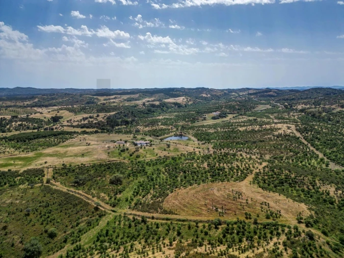 Quinta T5 para Venda em Garvão e Santa Luzia Foto 81