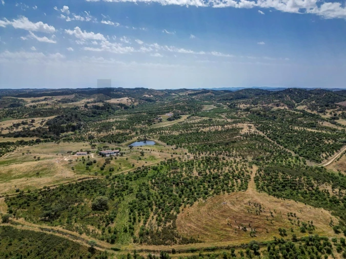 Quinta T5 para Venda em Garvão e Santa Luzia Foto 82