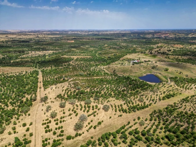 Quinta T5 para Venda em Garvão e Santa Luzia Foto 3