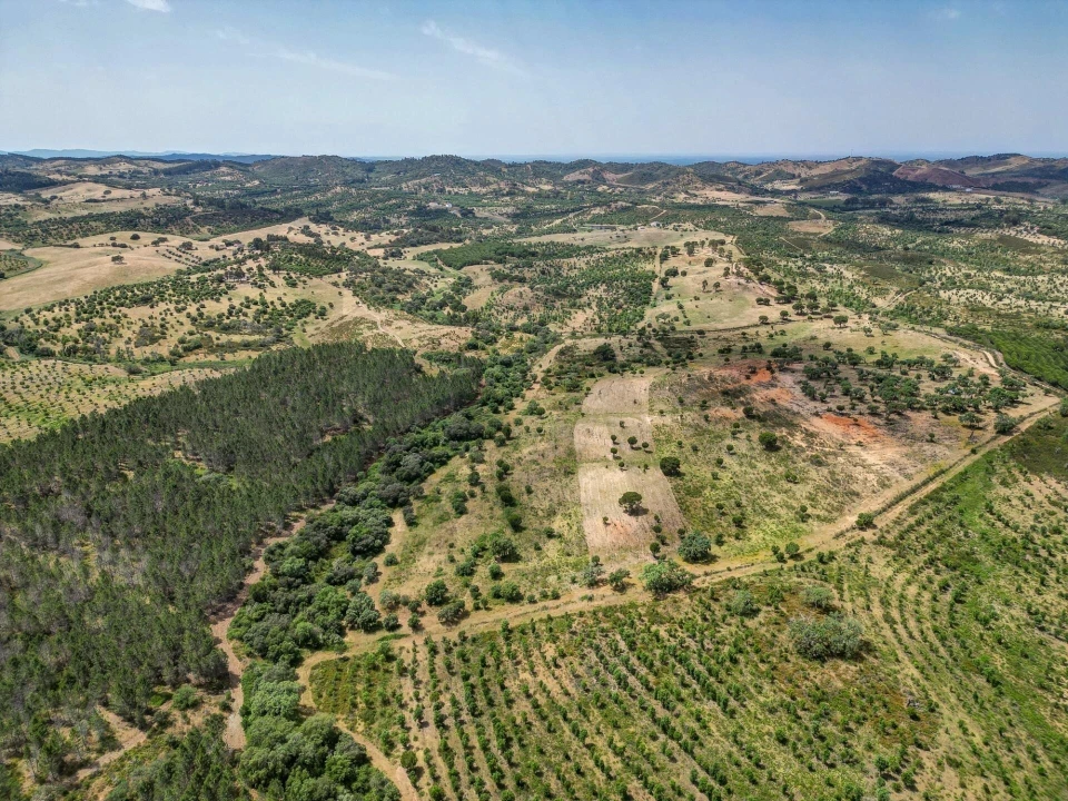 Quinta T5 para Venda em Garvão e Santa Luzia Foto 76