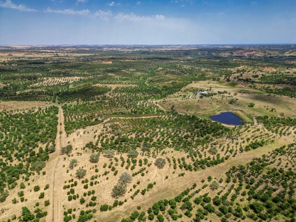 Quinta T5 para Venda em Garvão e Santa Luzia Foto 3