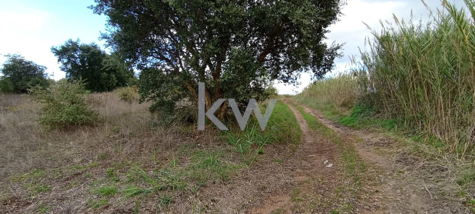 Terreno para Venda em Dois Portos e Runa Foto 2