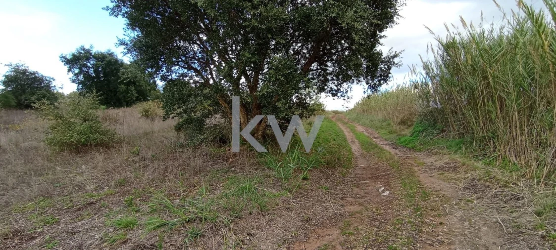 Terreno para Venda em Dois Portos e Runa Foto 2