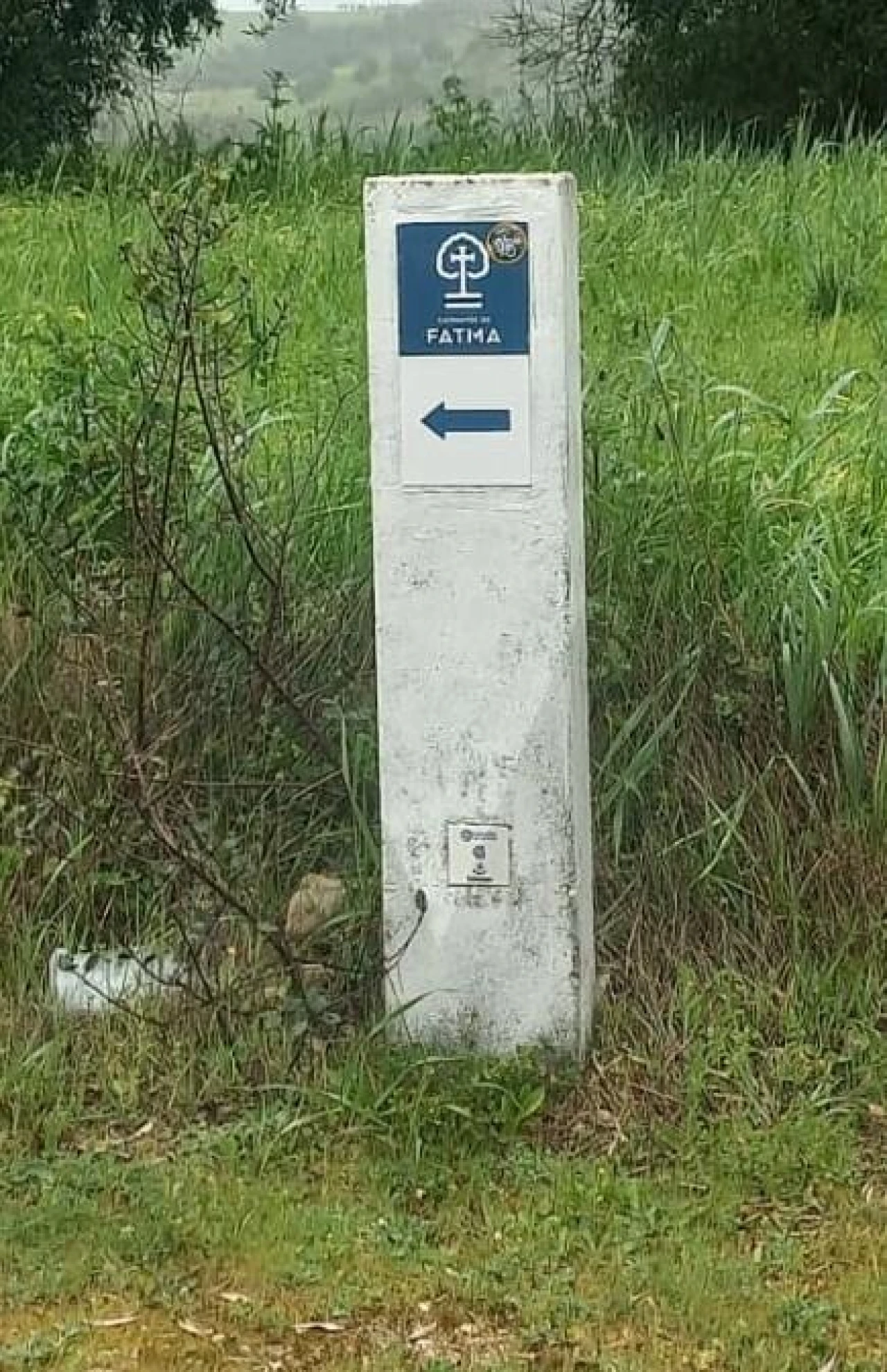 Moradia T5 para Venda em Achete, Azoia de Baixo e Póvoa de Santarém Foto 34