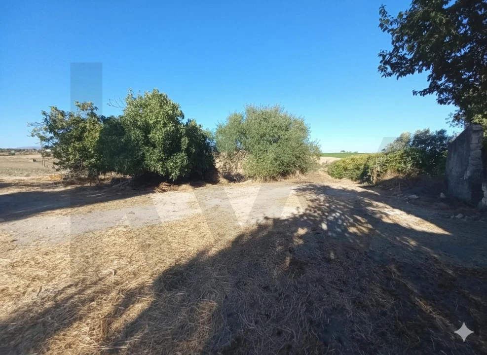 Moradia T5 para Venda em Achete, Azoia de Baixo e Póvoa de Santarém Foto 25