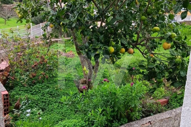 Moradia T2 para Venda em Malveira e São Miguel de Alcainça Foto 29