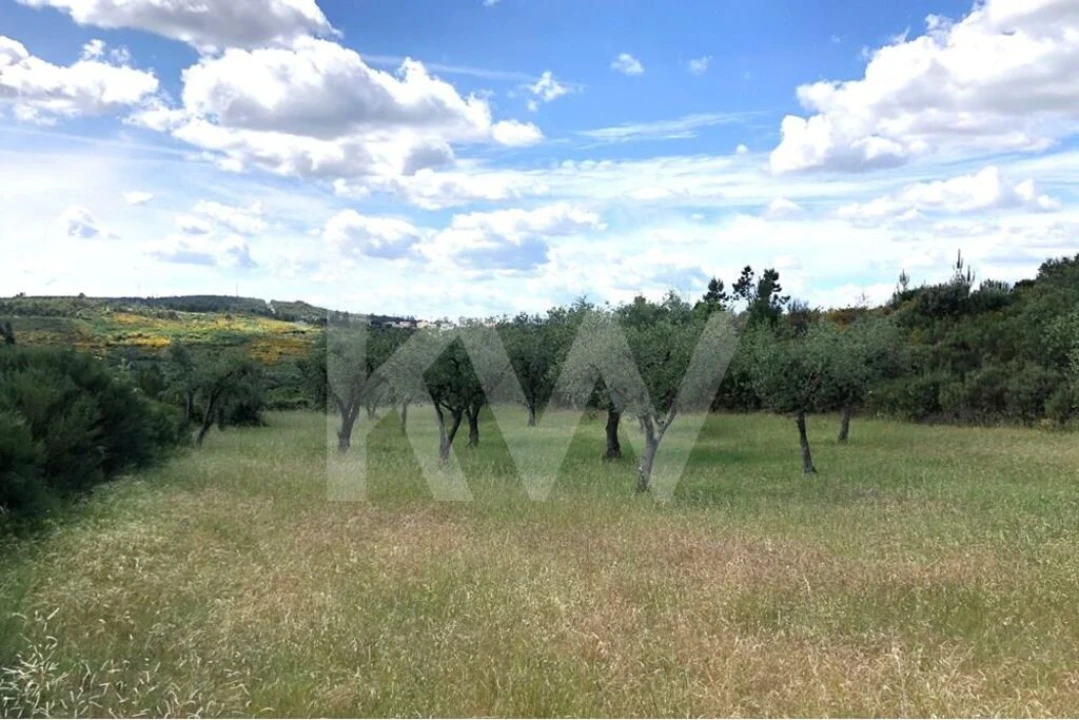 Terreno para Venda em Nogueira do Cravo Foto 2