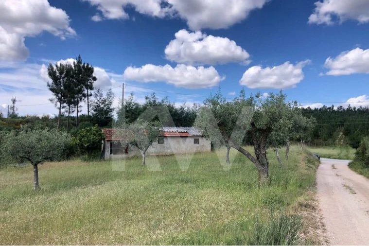 Terreno para Venda em Nogueira do Cravo Foto 3