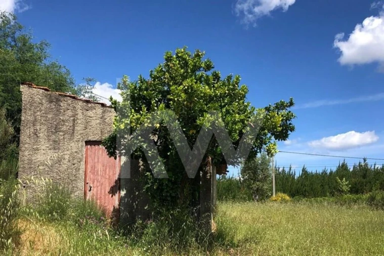 Terreno para Venda em Nogueira do Cravo Foto 7