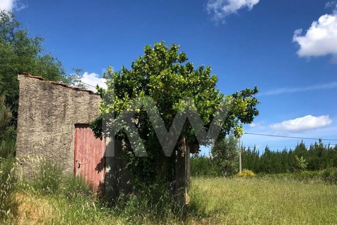 Terreno para Venda em Nogueira do Cravo Foto 7