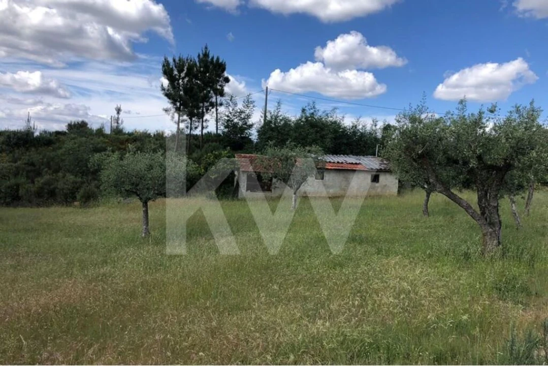 Terreno para Venda em Nogueira do Cravo Foto 1