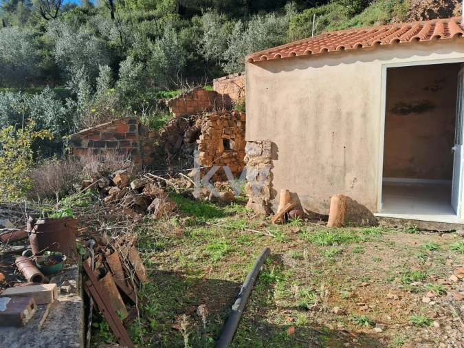 Terreno para Venda em Monchique Foto 6