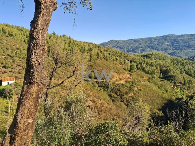 Terreno para Venda em Monchique Foto 14