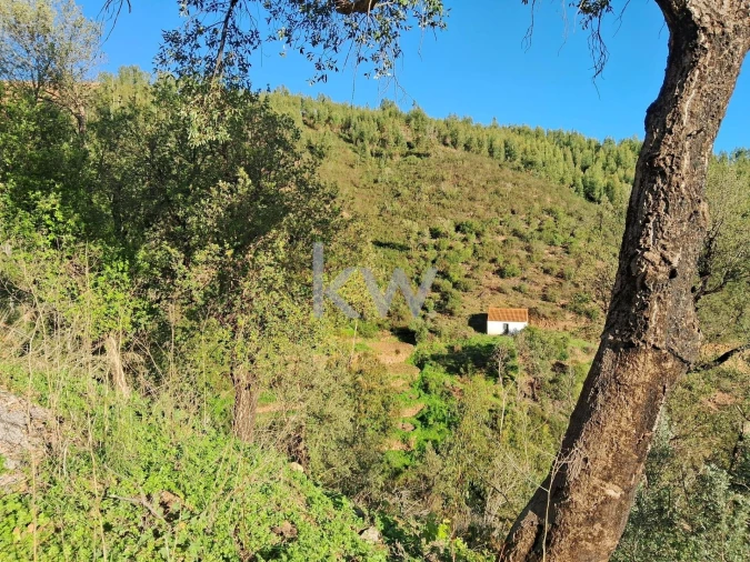 Terreno para Venda em Monchique Foto 13