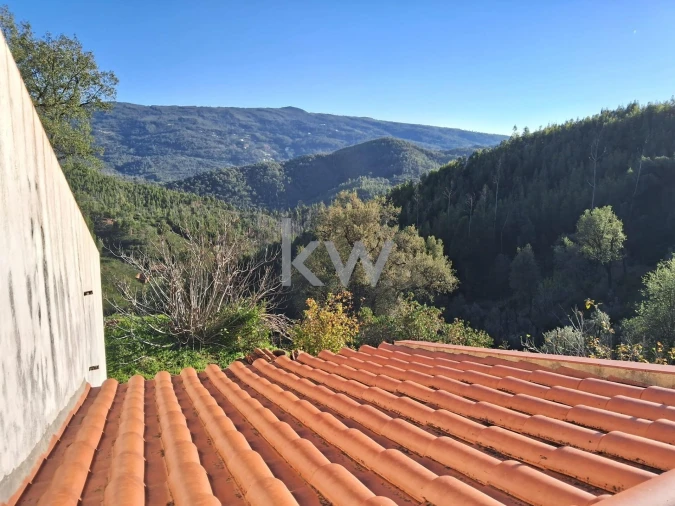 Terreno para Venda em Monchique Foto 5