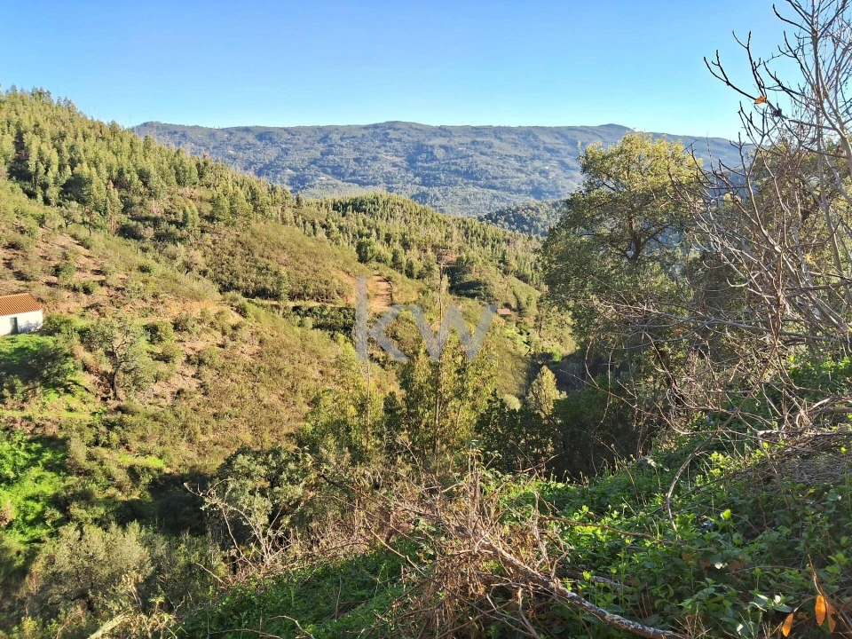 Terreno para Venda em Monchique Foto 9