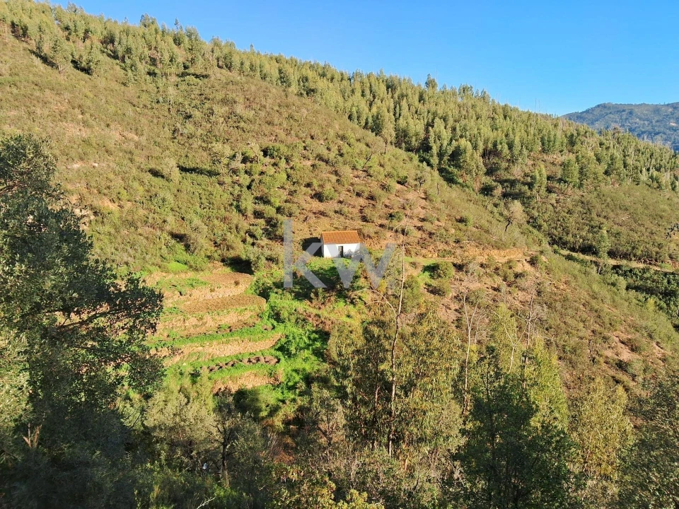Terreno para Venda em Monchique Foto 12