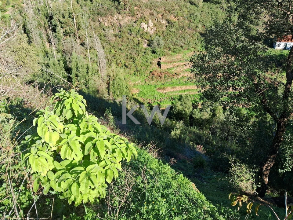 Terreno para Venda em Monchique Foto 10