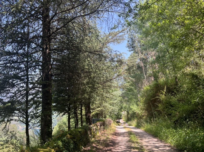 Moradia T3 para Venda em Valdosende Foto 18