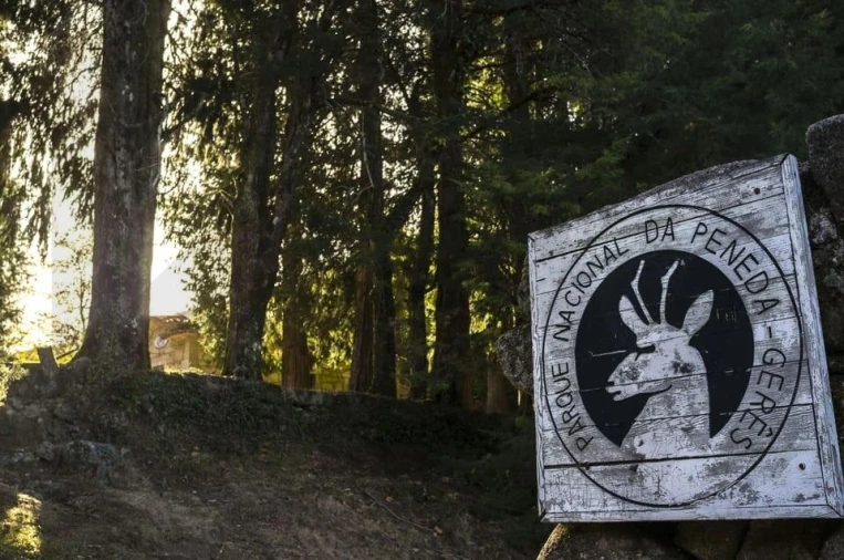 Moradia T3 para Venda em Valdosende Foto 16