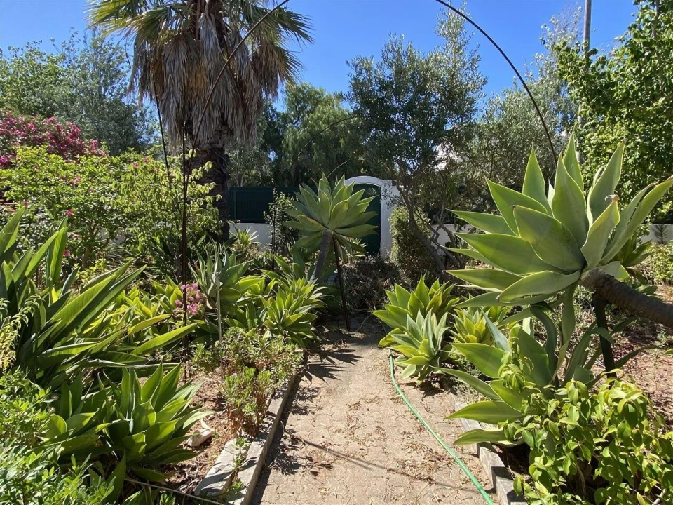 Moradia T3 para Venda em Alvor Foto 3