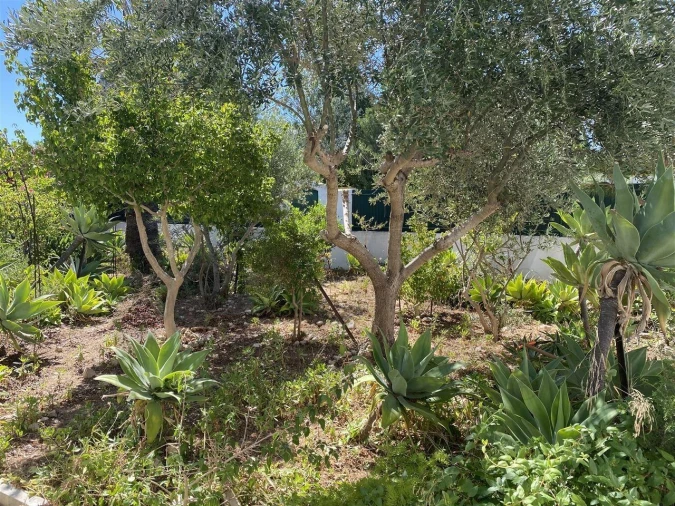 Moradia T3 para Venda em Alvor