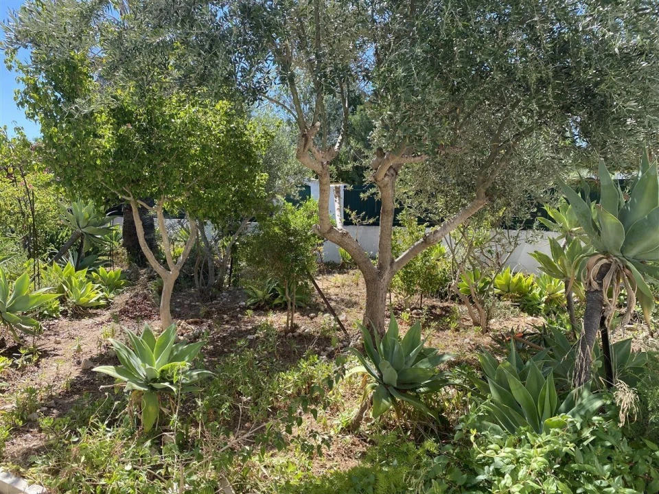 Moradia T3 para Venda em Alvor Foto 1