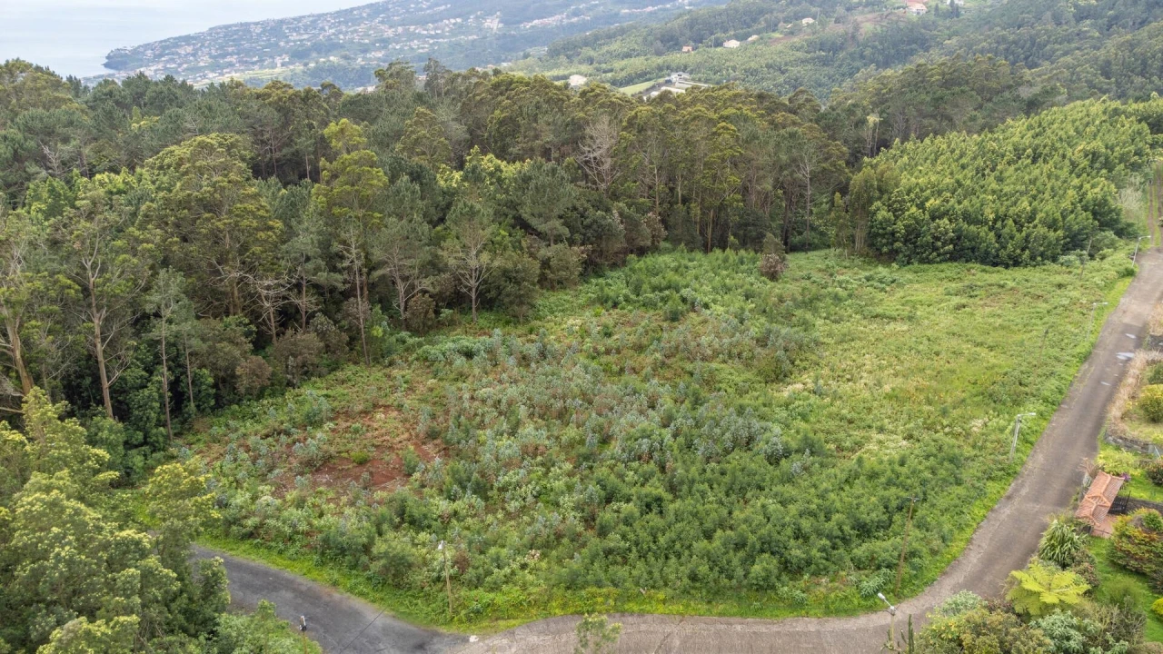 Terreno para Venda em Santa Cruz Foto 32