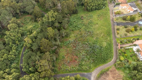 Terreno para Venda em Santa Cruz