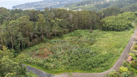 Terreno para Venda em Santa Cruz