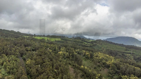 Terreno para Venda em Santa Cruz