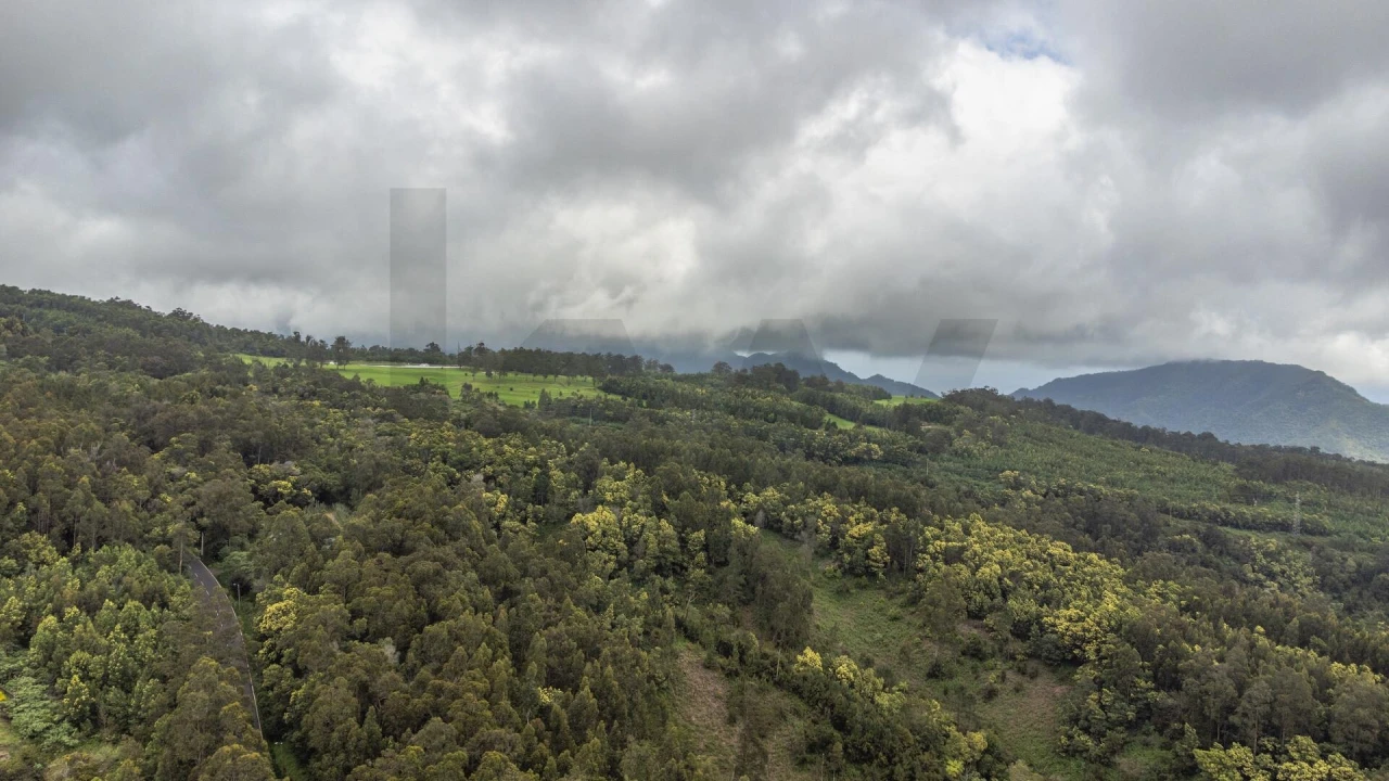 Terreno para Venda em Santa Cruz Foto 7