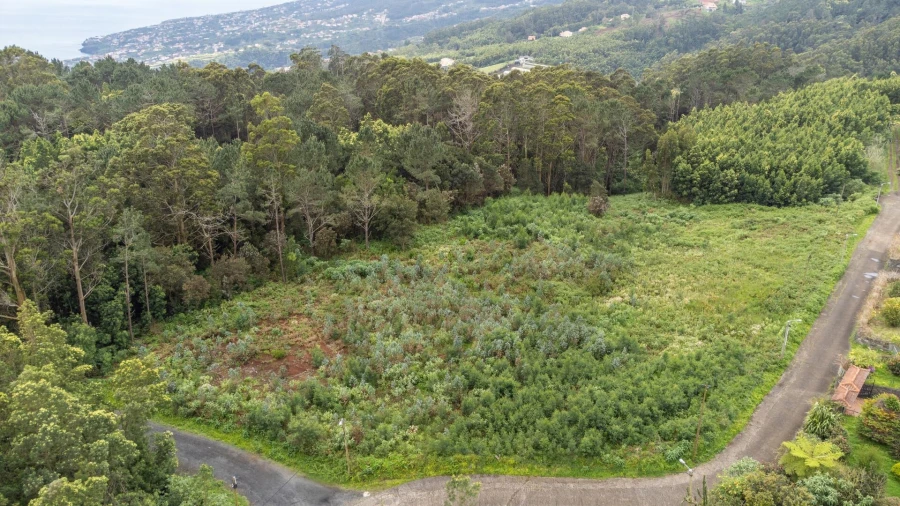Terreno para Venda em Santa Cruz Foto 32